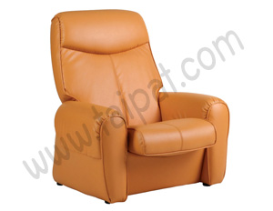 เก้าอี้พักผ่อน TPR-110-1